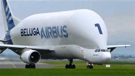 A Detalle Airbus A300 600st Beluga Enelaire