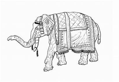 Drawing Portfolio Sample Trademark Patent Elephant