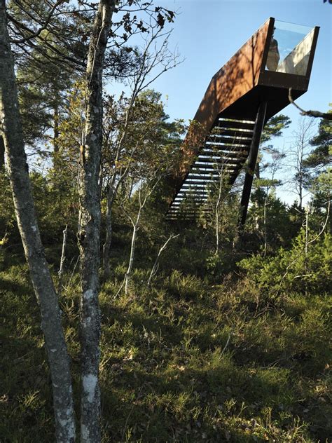 Forest Stair In Stokke Saunders Architecture Archdaily