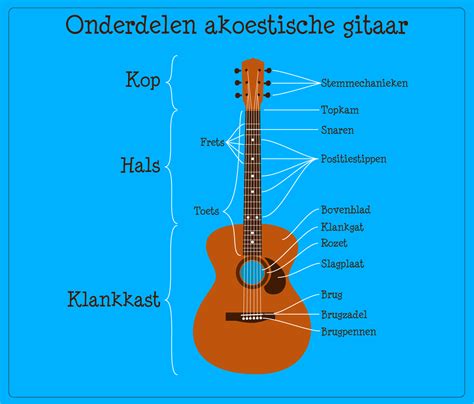 De Nederlandse Benamingen Van De Onderdelen Van De Gitaar Rgitaartips