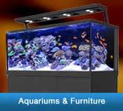We offer 1000s of brand name aquarium supply products as well as helpful articles, tips and other information of interest to the aquatic enthusiast. Aquarium Supplies: Buy Aquarium Supplies & Salt Water Fish ...