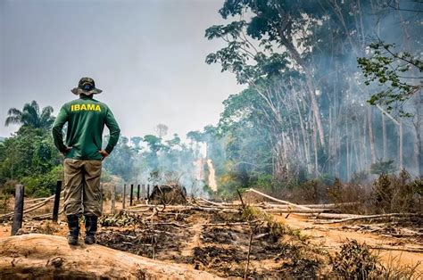 Alertas De Desmatamento Na Amazônia Atingem Recorde Histórico Para Setembro Sustentabilidade