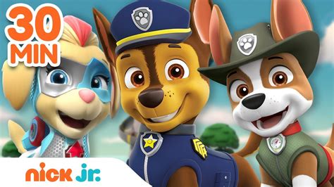 Paw Patrol Pups Rescues And Adventures W Chase Ella And Tracker 30