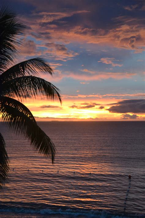 Filetropical Sunset 6762588735 Wikimedia Commons
