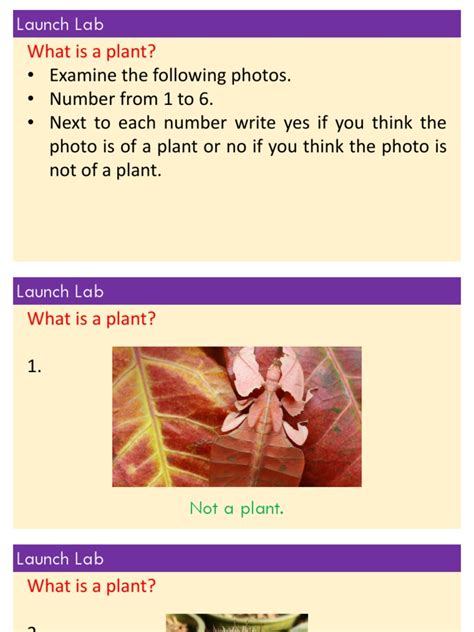 Life Chapter 9 Plant Diversity Pdf Plants Plant Stem