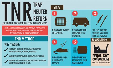 Trap Neuter Release Veterinarian In Wynyard Sk Waggin Wheelz