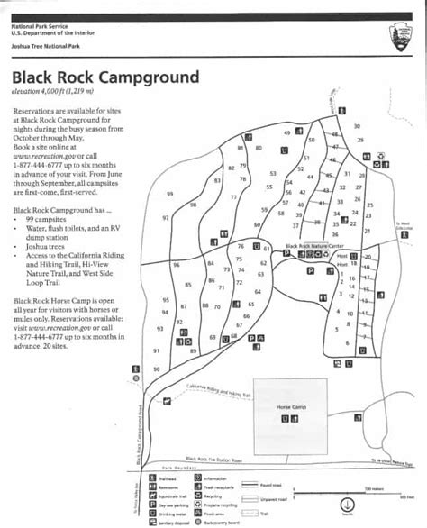 Black Rock Campground Joshua Tree Best Tourist Places In The World
