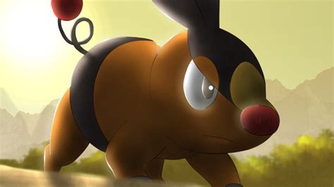 Tepig By All0412 On Deviantart