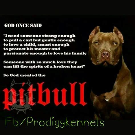 Pitbulls Pitbull Quotes Pitbulls Sayings