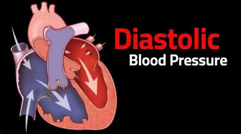 Diastolic Blood Pressure What You Need To Know