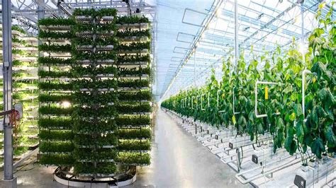 The Rise Of Greenhouse Farming Is Gaining Momentum In 2020 Youtube