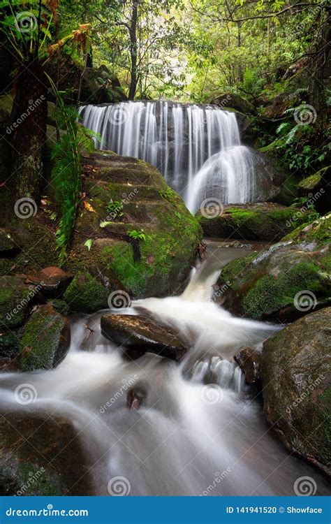 Cascading Waterfalls Through Lush Rainforest Stock Photo Image Of