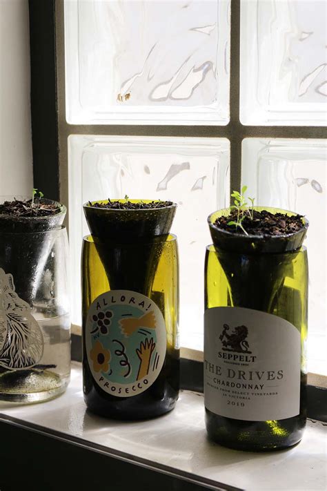 Diy How To Make Self Watering Planters From Wine Bottles