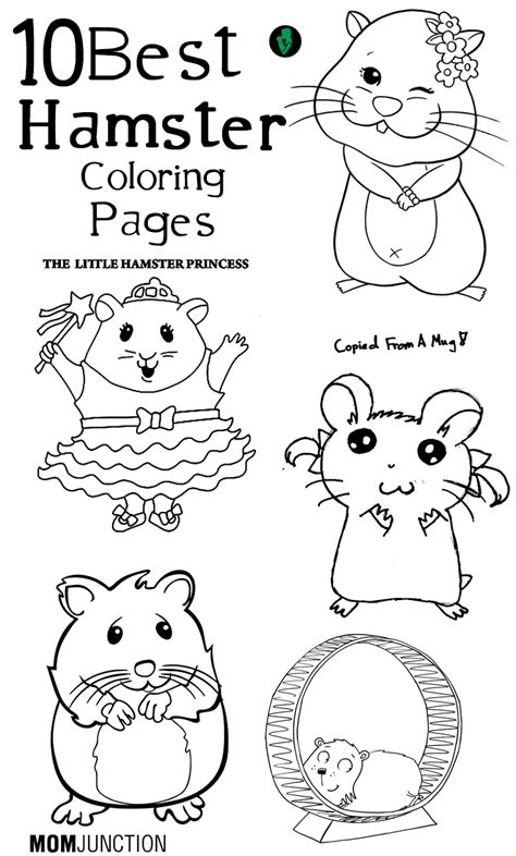 Hamster Coloring Pages To Download And Print For Free