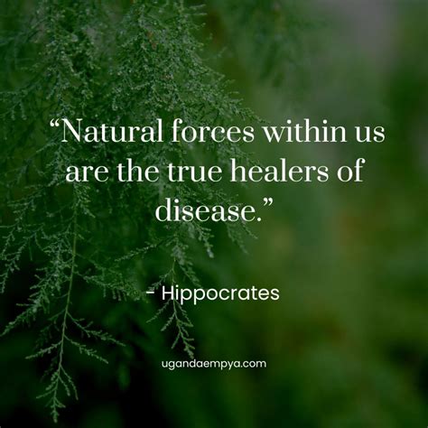 56 Hippocrates Quotes On Self Healing And Medicine