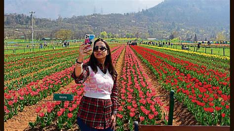 15 Lakh Tulips In Full Bloom Srinagars Iconic Garden Thrown Open To