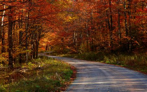 Autumn Free Wallpaper Country Roadstake Me Home Wallpapers Hd