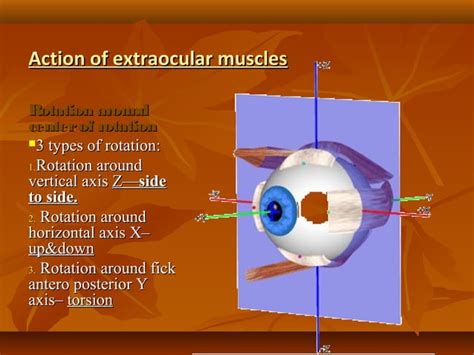 Eye Muscles And Ocular Movements Laws Of Ocular Motility Ppt