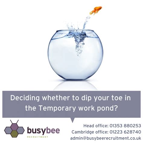 Temporary Staffing Is The Bees Knees These Days Busy Bee Recruitment