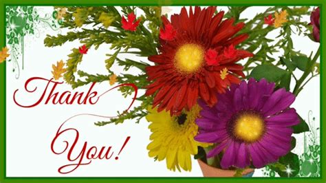 Cute Flowers Thank You Ecard Free Flowers ECards Greeting Cards Greetings