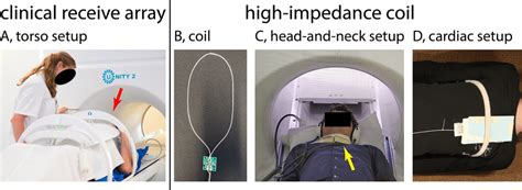 The Torso Setup With The Clinically Used Mri Linac Rf Receive Array