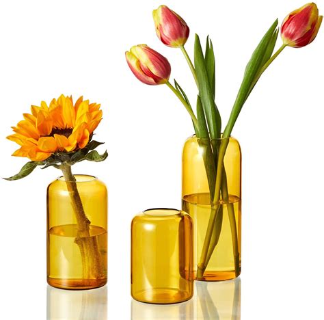 🌻simple And Elegant Design Zens Glass Vase Is Made By High Quality Borosilicate Tinted Glass