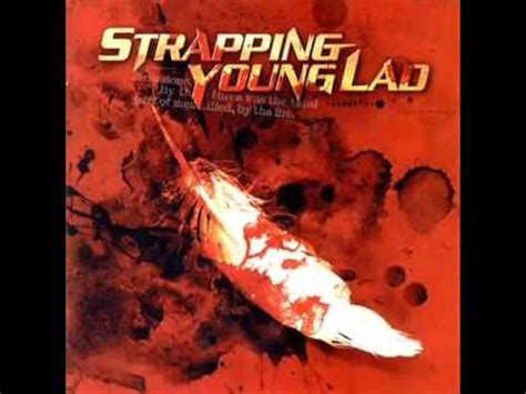 Townsend played most of the instruments on the 1995 debut album, heavy as a really heavy thing. Strapping Young Lad - Bring on the Young - YouTube