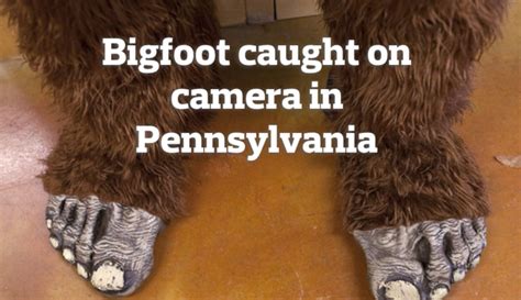 Bigfoot Caught On Camera 6 Pennsylvania Sightings