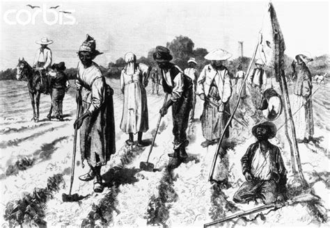 Mr Ramirezs History Blog Class 201 Blog Southern Colonies Slavery