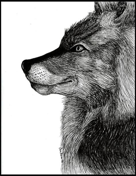 Ink Wolf By Art Fromthe Heart On Deviantart