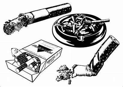 Cigarette Vector Cigarettes Drawing Pack Illustration Svg