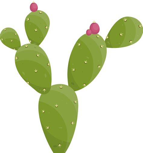 Cartoon Desert Cactus Plant 21611971 Png