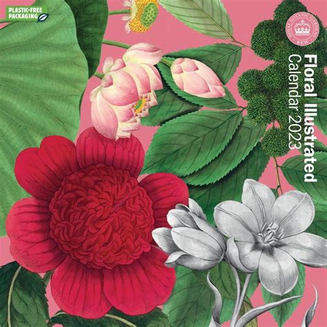 Royal Botanic Gardens Kew Floral Illustrated Wall Calendar 2023 By