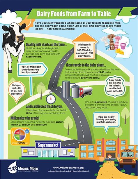 What Are The Steps Between Milk And Other Dairy Foods Going From Farm