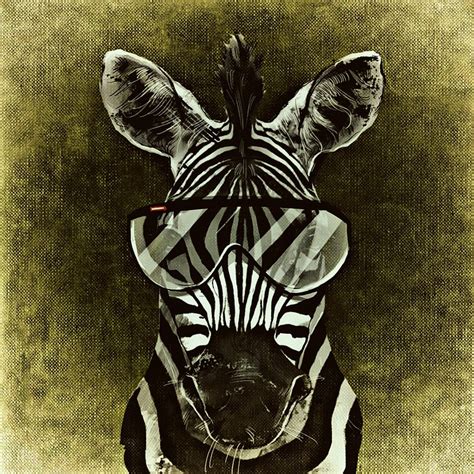 Soy luna bilder cool cool. Free illustration: Zebra, Cool, Abstract, Funny - Free Image on Pixabay - 1235245