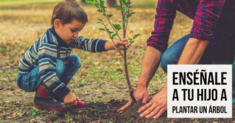 Enséñale A Tu Hijo A Plantar Un árbol