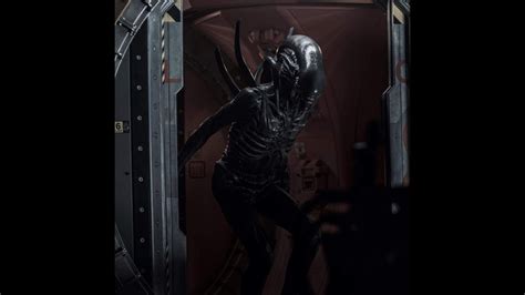 New concept art for alien: Alien Covenant All Xenomorph Scenes in digital HD (Hunting ...