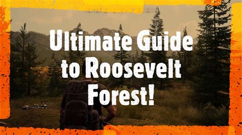 Ultimate Guide To Roosevelt Forest Hunting Simulator 2 Youtube