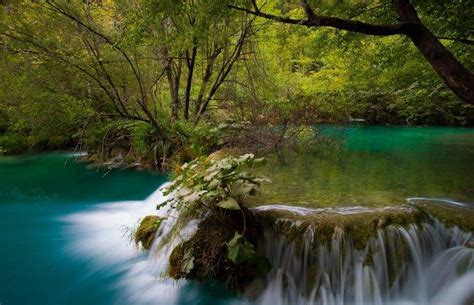 River Waterfall Forest Shrubs Plitvice National Park