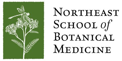 Nsbm Logo 2000px Northeast School Of Botanical Medicine