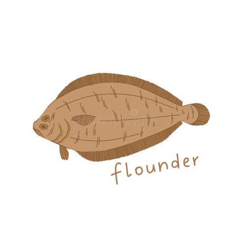 Flounder Illustration In Cartoon Style Sea Fish Isolated On White