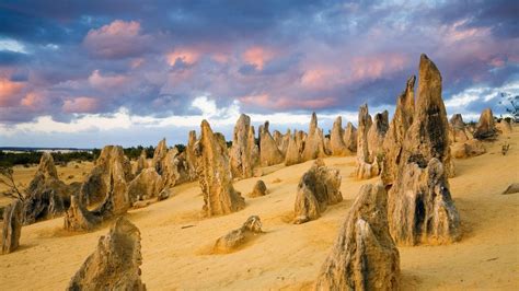 The Pinnacles In Nambung National Park Western Australia Peapix