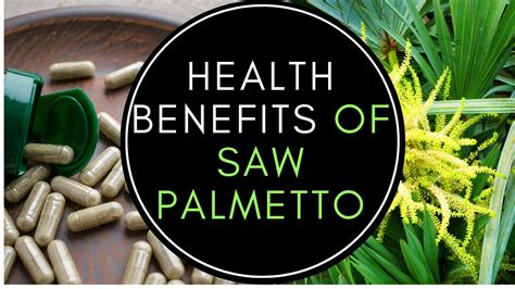 Health Benefits Of Saw Palmetto Youtube