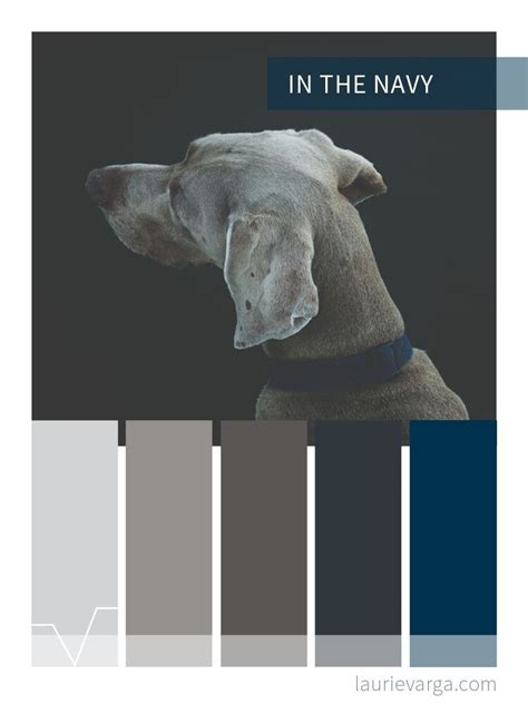 In The Navy A Warm Grey Brown And Blue Color Palette