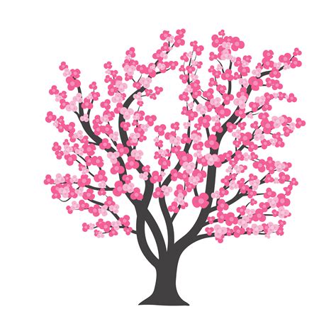 Cherry Blossom Tree In Vector Illustration 537161 Vector Art At Vecteezy