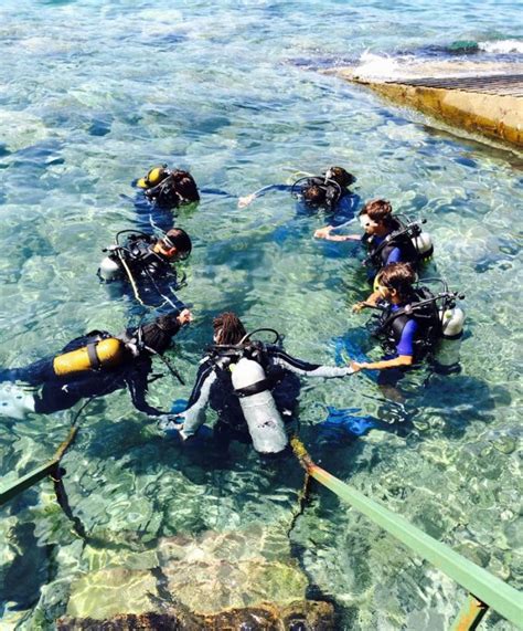 Here Is How You Get Scuba Certified And Why You Should Rushkult