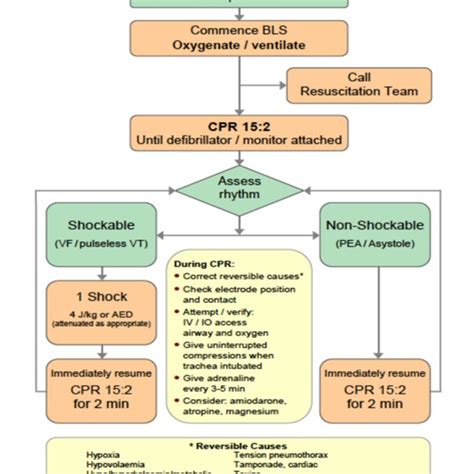 −30 Algorithm For Management Of Neonatal Cardiac Arrest Download