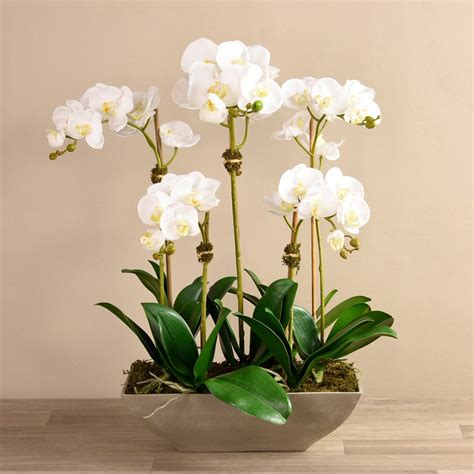 Contemporary Artificial Orchid Arrangement Bloomr