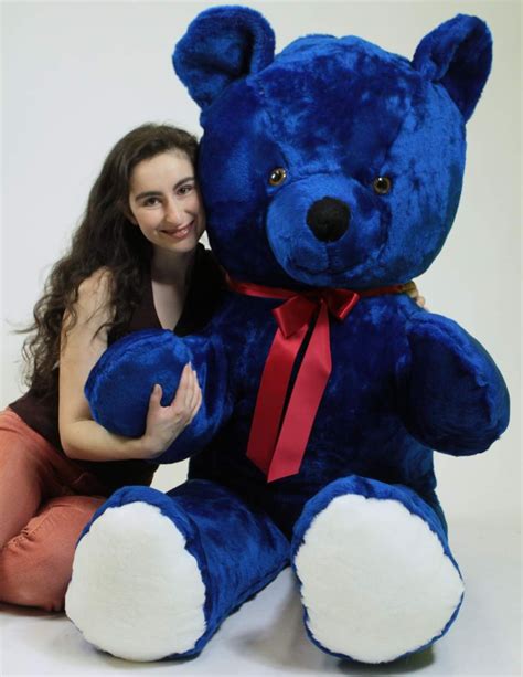 Cute Dark Blue Teddy Bear Ubicaciondepersonascdmxgobmx