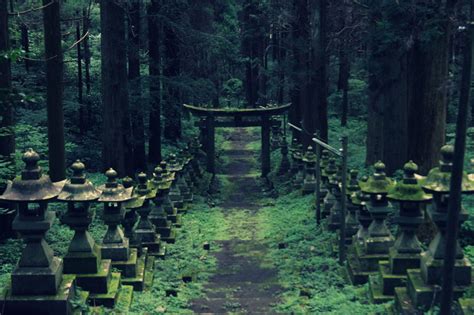 A Forest Shrine In Japan Twistedsifter